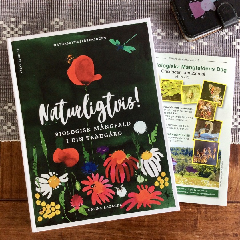 1395F377-5798-441B-84C3-C905514EDDA5