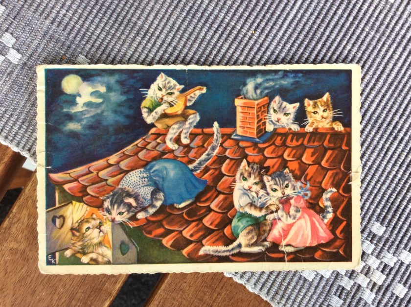 251BB8D0-1715-454B-AB31-057876F202C2