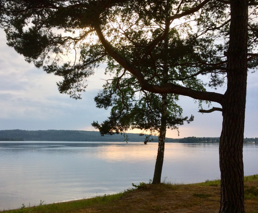 3F99792C-AE05-4849-9D73-BEFFEAE3BA6C