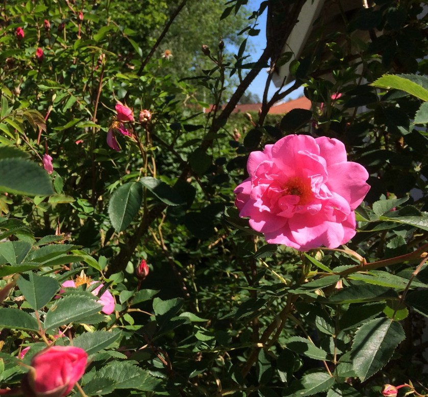 48F599E9-4CF3-4157-A4AF-EFB037B1E709