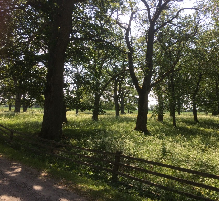 6A2BFED3-5E14-4C70-B82F-A480DB08B0AC