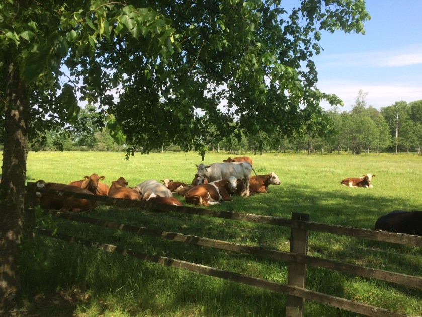 B7BB8170-67E9-42B0-873E-8AAE3EF60A83