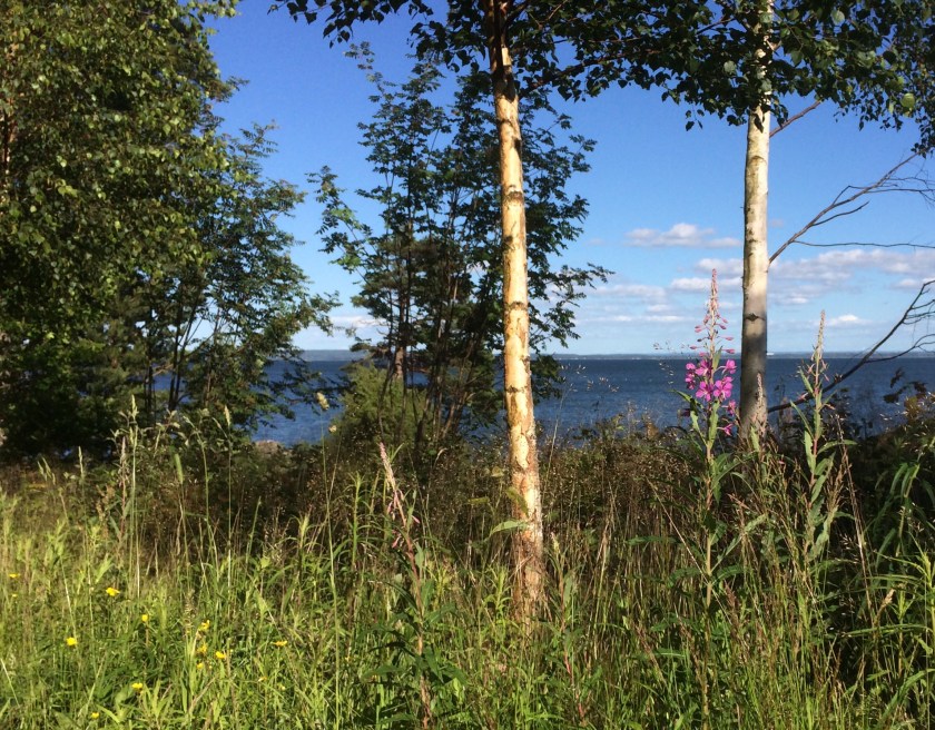 C6364C48-2D14-4250-92DC-2DA7FE4A7927