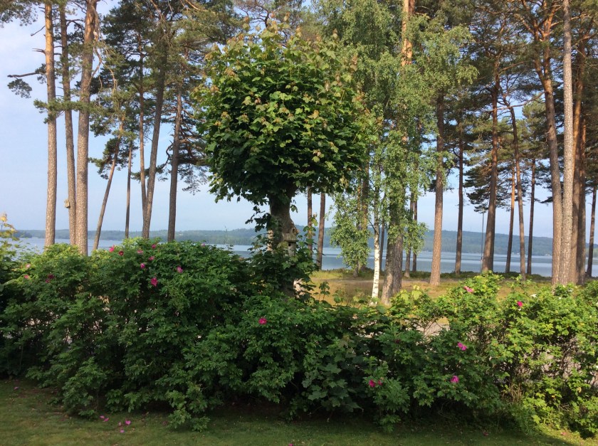 CA8172C5-A649-406A-ACB2-5FFE11D9287A