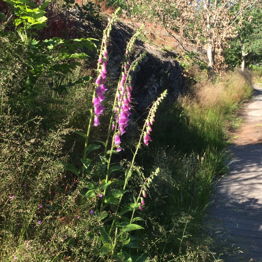 CEE99874-9286-4FB5-8906-38BE5424F731