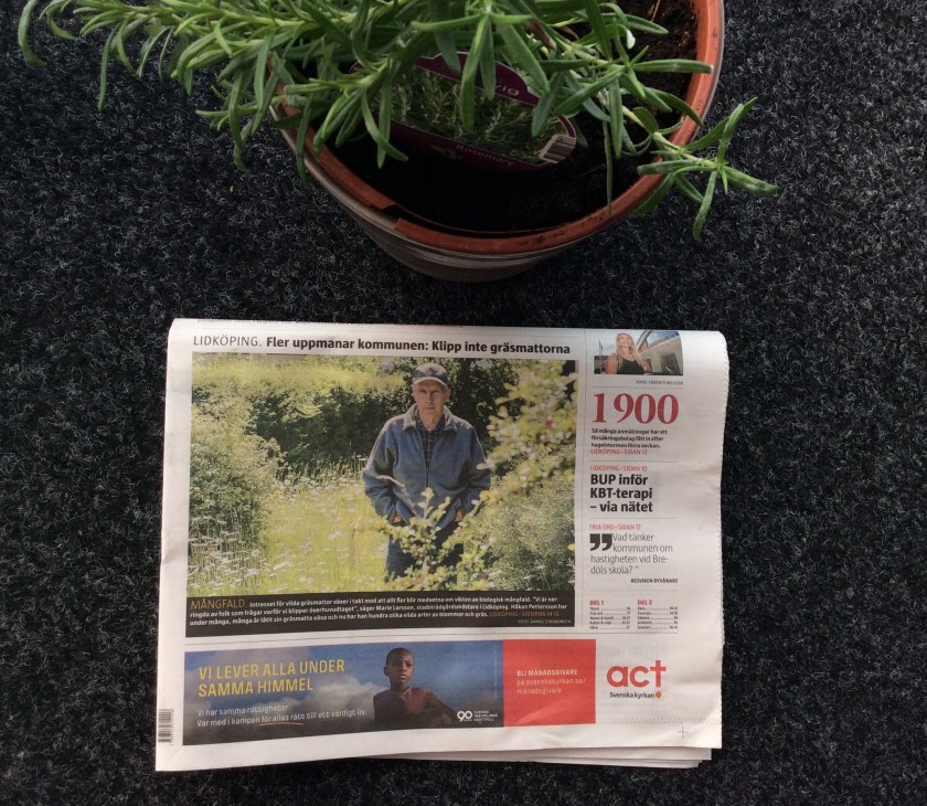 DDB966C8-92F3-4EBA-BF1B-3A50BF82636B