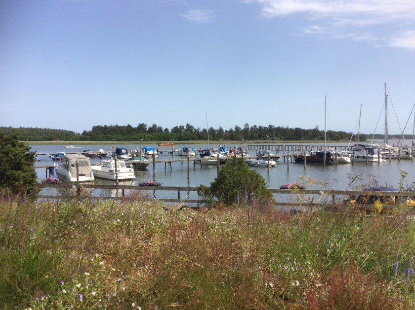 E0F8B4AC-4FCB-49DD-88C9-7DBFBA8D39F6