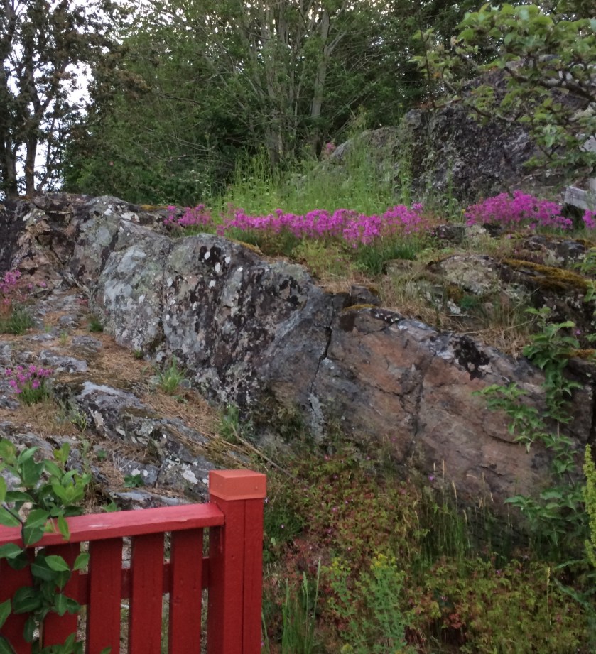 FECAF23A-DB65-4B14-AEEA-AAD2DAA6BDA1