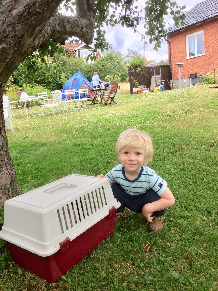 046C4915-7D6D-4696-B9C2-3DC524F1BB5A