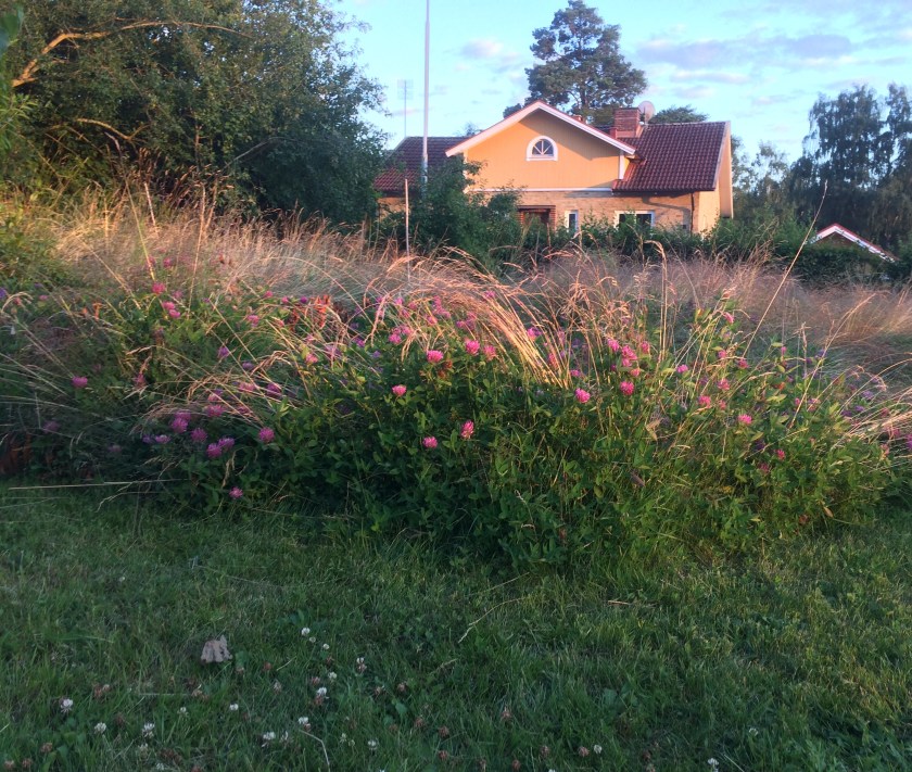 1042C50B-C119-4BF2-80C7-6D8886E49E38