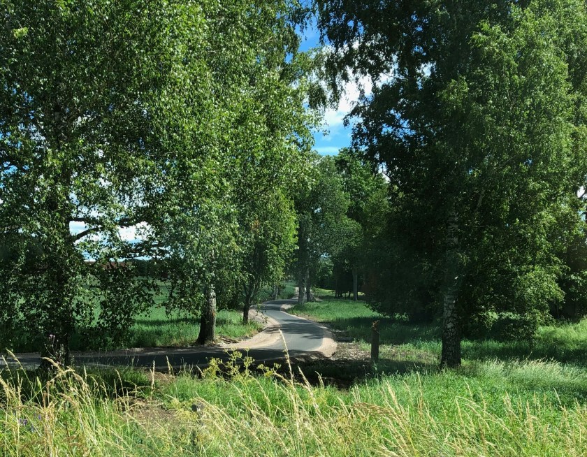 11DB00AD-AF4C-4399-BD88-524CC626673B