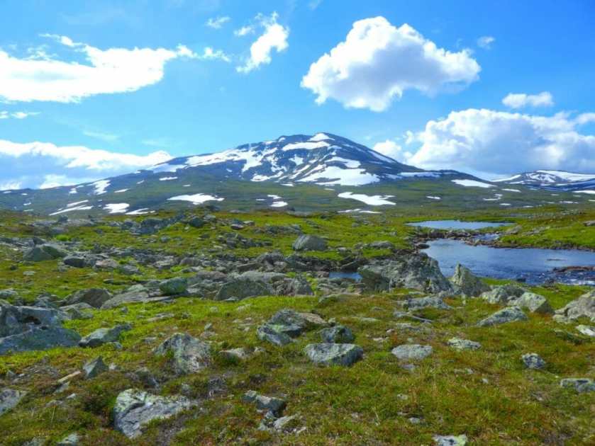 28FAE253-5CA9-40B7-8DEA-AA09B66910A5