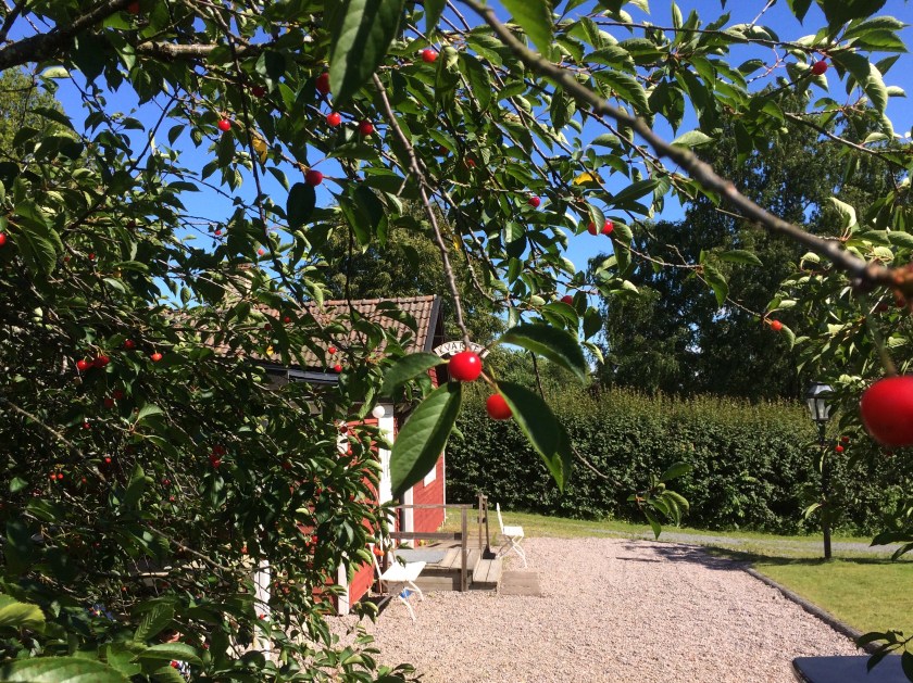 2D191F2F-513F-4178-B4C2-161EDBE08341