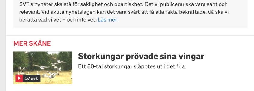 31917CBD-3D8E-4191-B1F2-A0C0365F7CA0