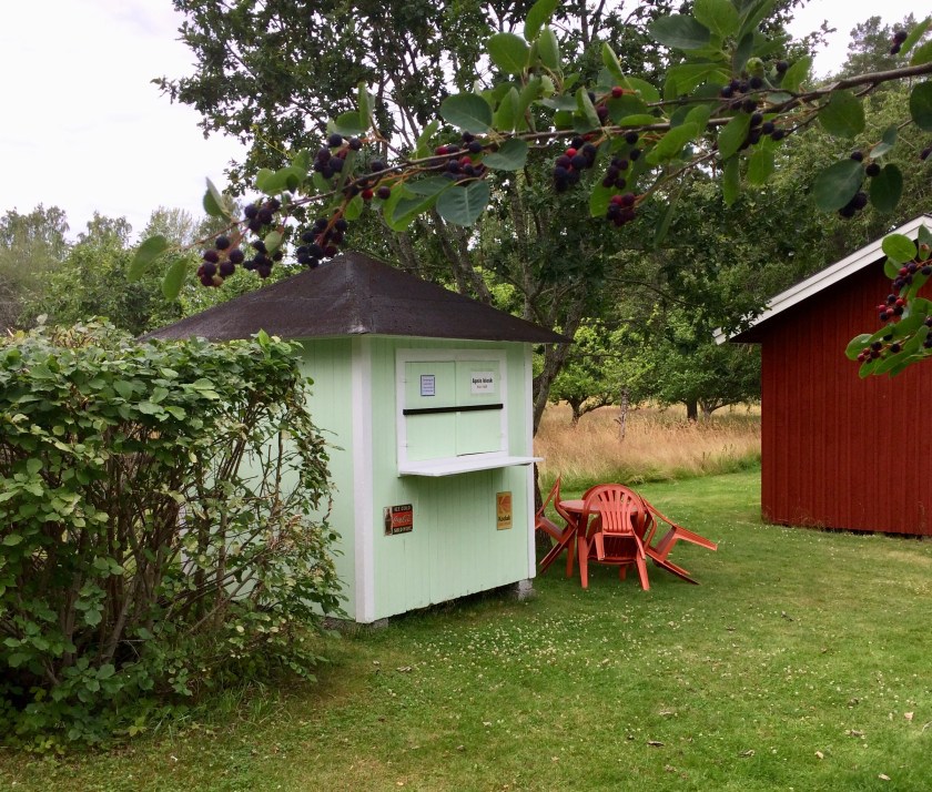 33DBCDC7-B459-4AE4-9404-5263C5195322