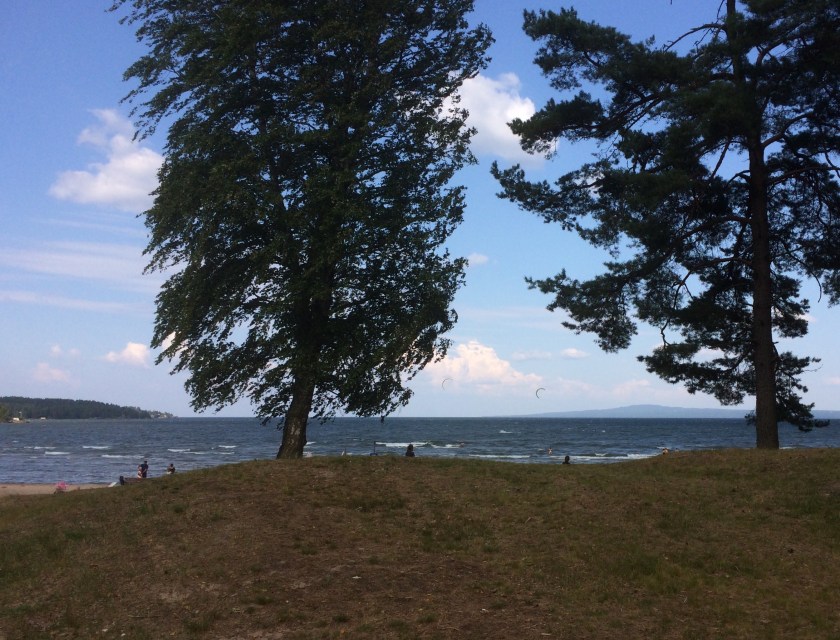 33F7598D-5292-4220-8FE2-A7B5657CE845