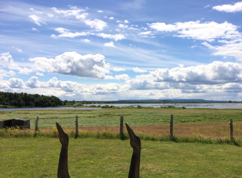 3573B2A2-59AB-47EE-A67B-E917B88F0BF4