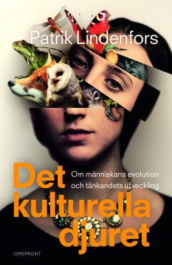 418BBD08-6D71-4E74-89C4-18C6A1CCF2B7