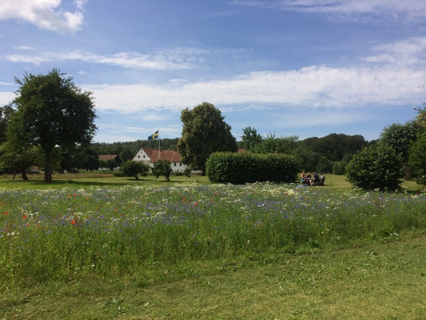 46310181-B6F3-4DF4-A61E-15AD6EF30E39