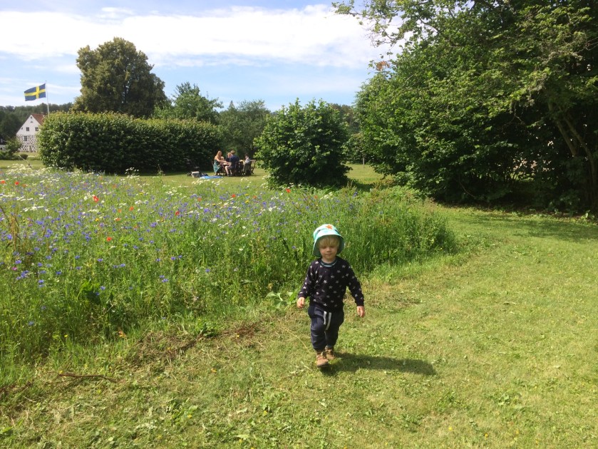 4CD91D4C-6F54-49B0-B366-C22F9EACFFF9