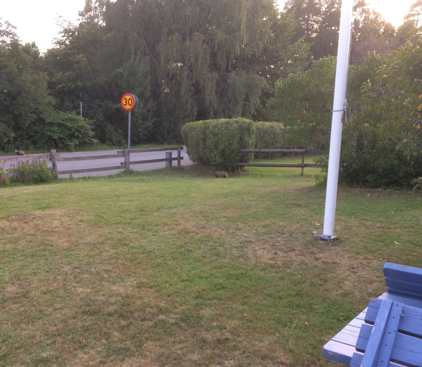 5A284811-4A59-46EE-8839-E9876F98ACE5