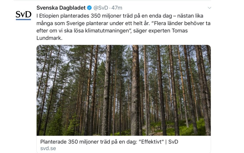 86706090-8B36-4BE5-AE19-236AAC32B3DA