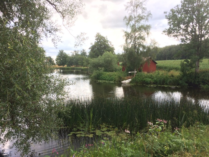 9390A784-8BE3-4DBB-9C45-E5EA72376F48