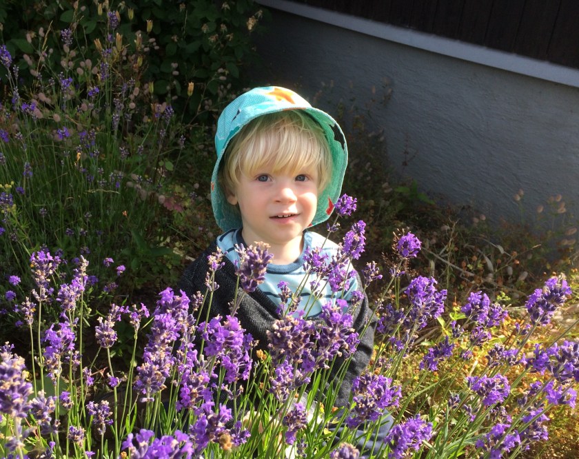 96A86B76-A302-42CA-8358-070A65C9F505