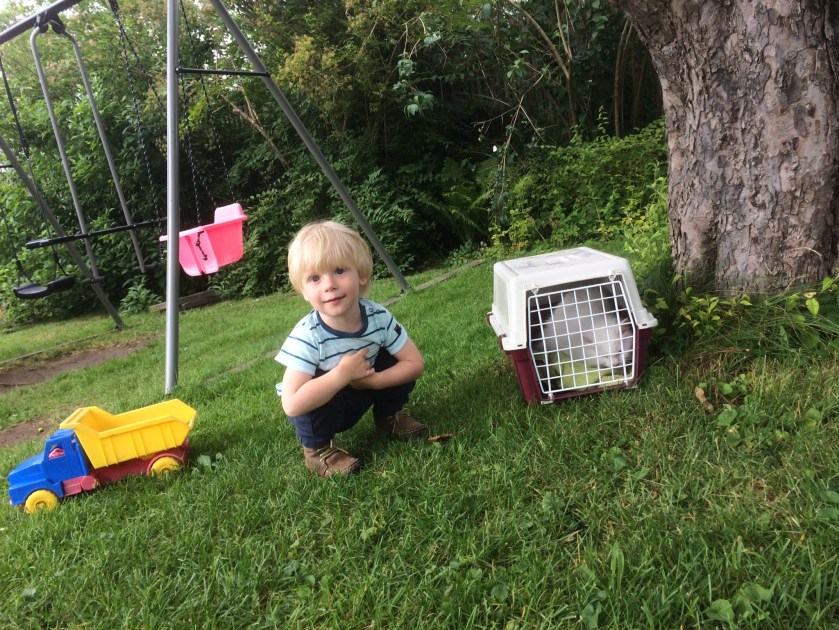 A9BDA8B8-E98E-4B35-897A-B15F8C9D0EB5