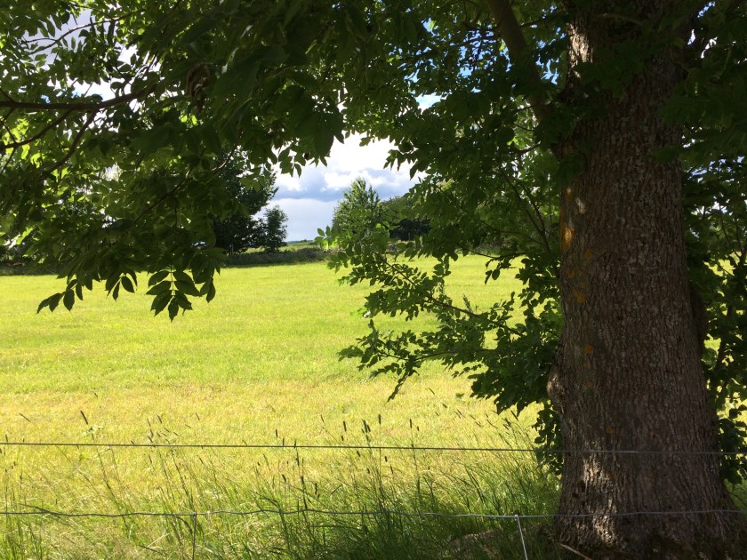 F0AA3224-3346-4A7C-A7E2-4486464D1301