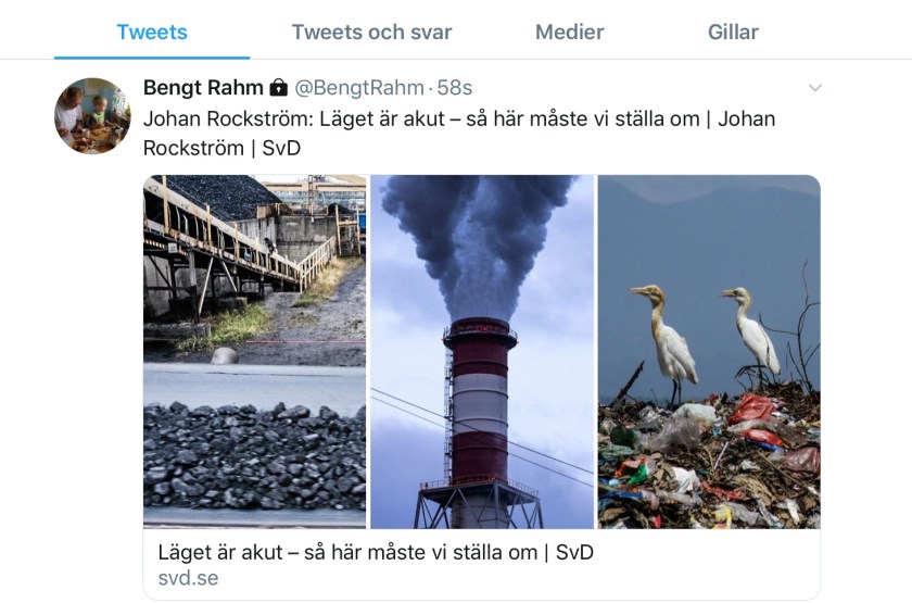 2320B95B-062F-4AFE-B5E3-00C71C891C8B