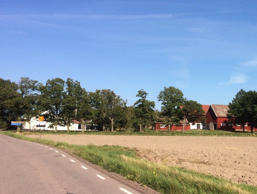 41AD68CC-0706-4A60-899A-290E93C99607