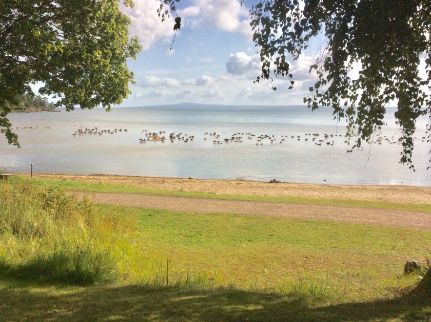 74E2A276-A102-4DFF-8C1F-14A85C3ECCA8