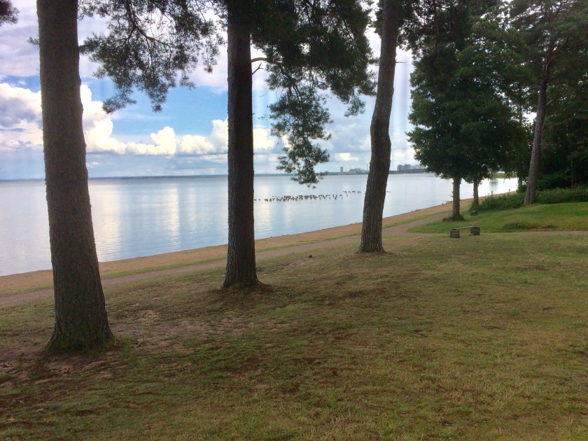 8B8680AB-DBD7-4C43-BD92-885C44357E19