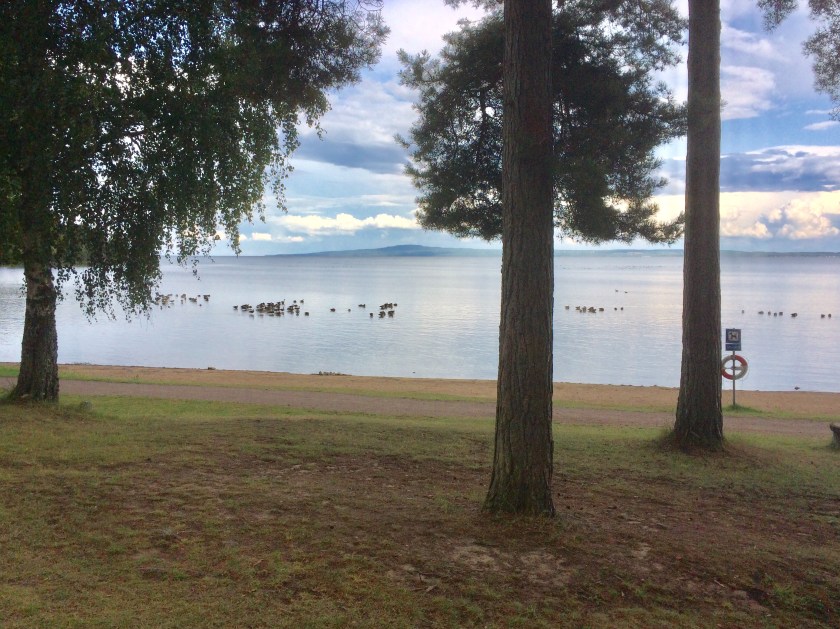 984BCA00-60CD-46BF-923B-E75886D17C55