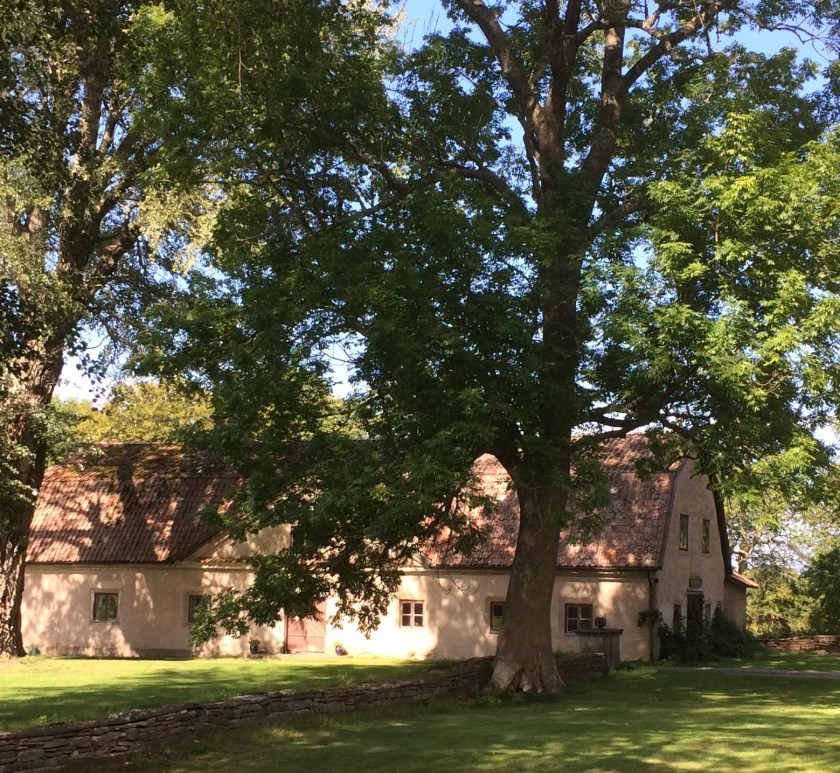 B53CF985-DEF7-42A9-9127-B1684F9F7B8E