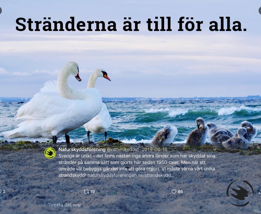 B71B23D7-FE19-4671-AB2B-56BCCE864C9D