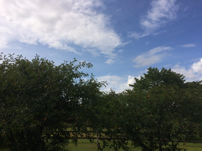 E2CE268D-C76D-4834-A693-D7DDE1C711DE