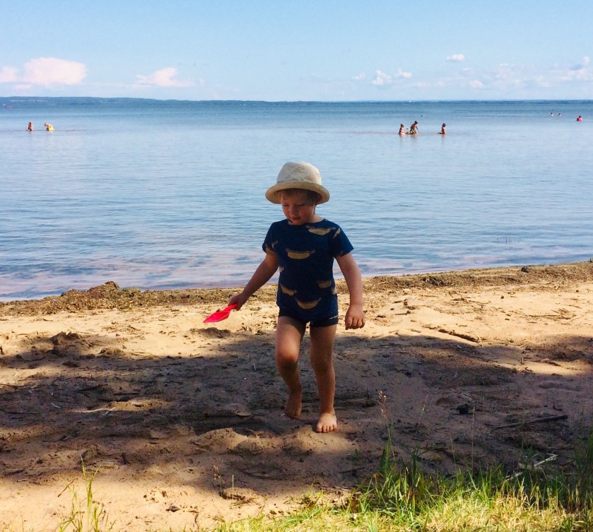 EA30649B-A0BC-4557-8665-5138B556C675