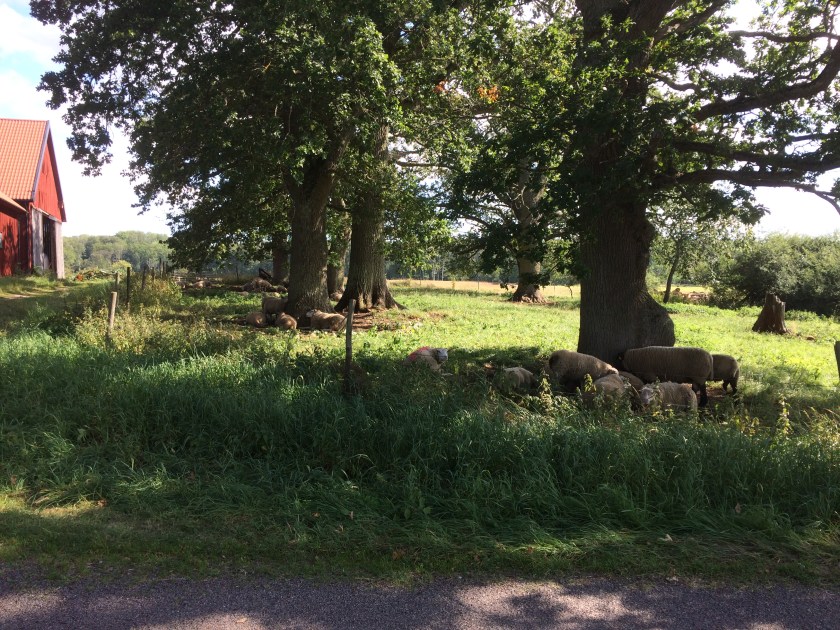 F31C9B0F-ABD4-46C3-B098-2AA6E306EB45