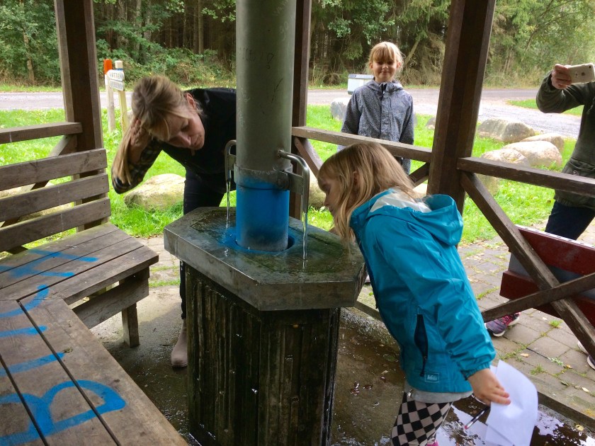 13F01263-C0CB-445C-84E5-E4592E882EA9