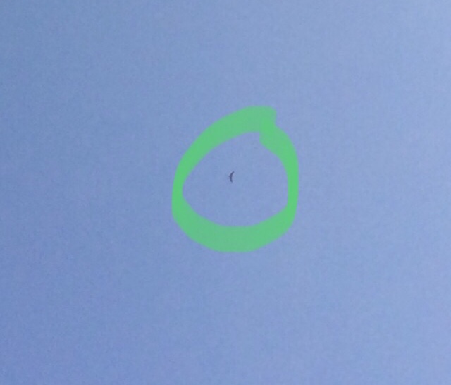 2150EF91-E57C-4AA3-9291-92628060A4DA