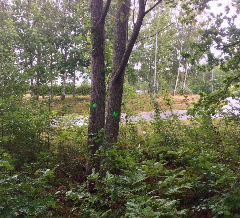 29164B6F-5C24-4943-B75C-E4D5D5E4811A