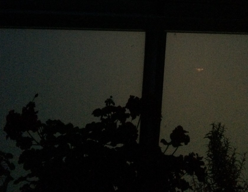 389C579F-2C19-425E-84A2-277D733192DC