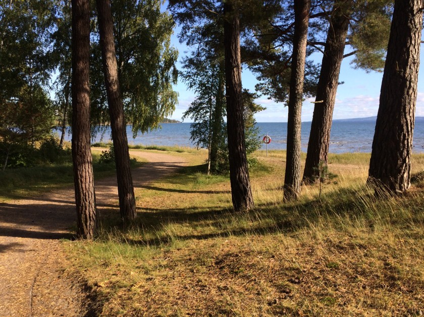 8B464812-FD64-453C-ABDC-78D4E77A8D00