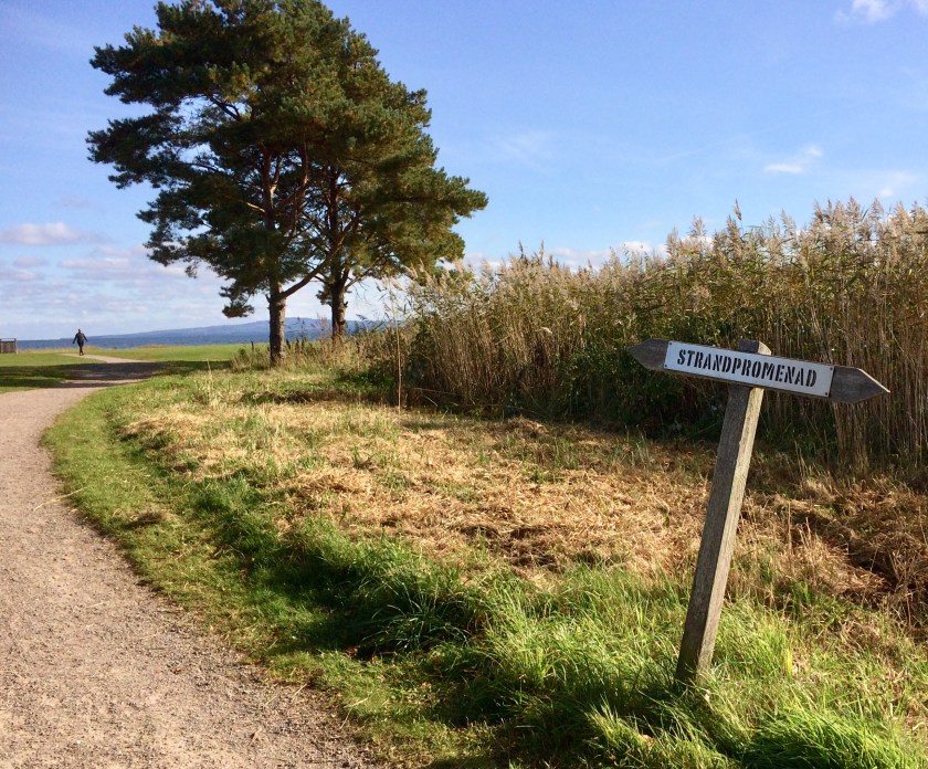 A0720647-1686-4217-A9C9-A1C869D9AA35