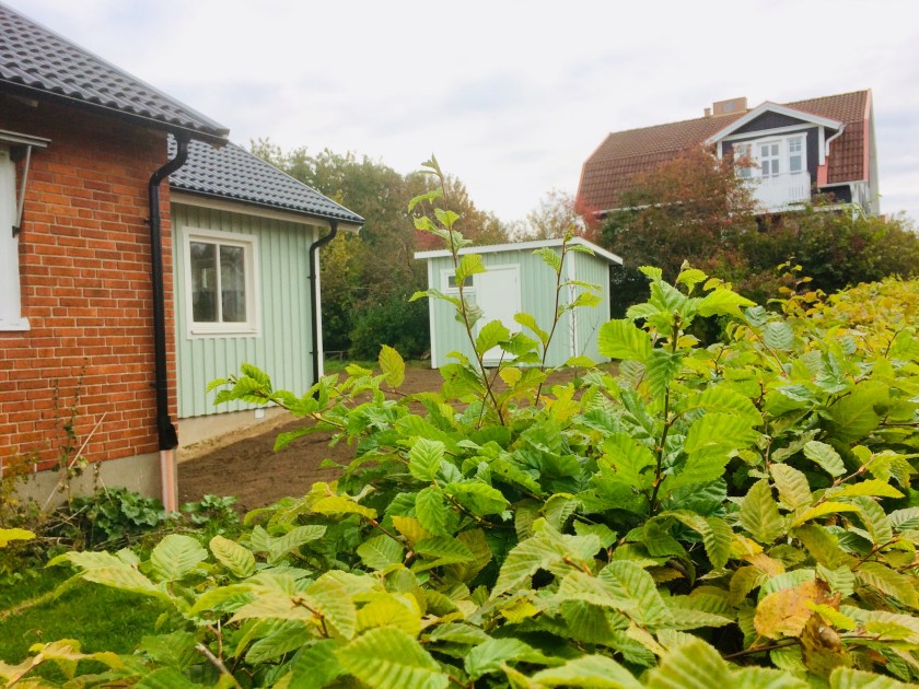 1AD23AEF-39BE-4DC2-B891-F9B52FAD6271