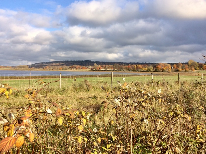 499289A8-C572-4944-A8BA-5C54DCB7CF8A