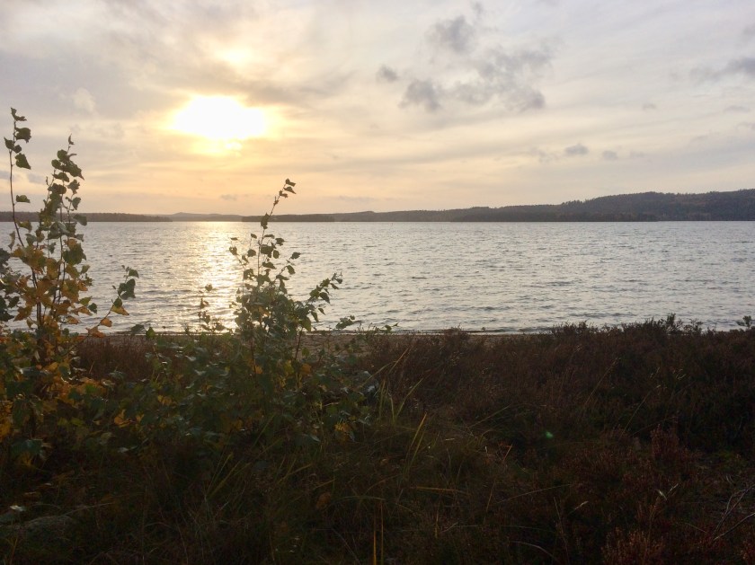 A45843A7-BE28-4C19-9679-7B9474DD91B5