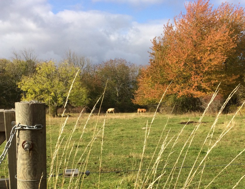 A6D21ED1-F797-468D-B9F7-1B7EE5C1BEBC